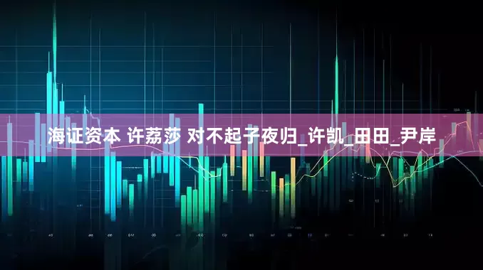 海证资本 许荔莎 对不起子夜归_许凯_田田_尹岸